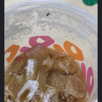 Dunkin' - Bug in coffee - Coffee & Tea Near Me - Yorkville, Illinois Dunkin' - Bug in coffee - Coffee & Tea Near Me - Yorkville, Illinois