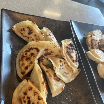 Mason's Dumpling Shop - Aurora - Pan Fried chicken dumplings. They aren't burnt, it's intentional char and delicious - Chinese Near Me - Aurora, Colorado