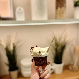 Tiramisu and bacio di latte in piccolo Tiramisu and bacio di latte in piccolo