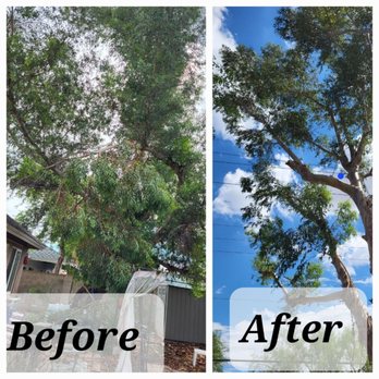 Marvin landscaping - I work has been finish - Tree Services Near Me