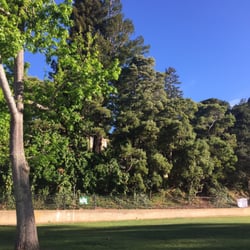 Piedmont Sports Field