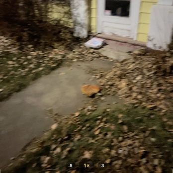 Domino's Pizza - They put it on the wrong address 2 1/2 miles away. He told me go fuck myself. - Pizza Near Me - Sturgis, South Dakota Domino's Pizza - They put it on the wrong address 2 1/2 miles away. He told me go fuck myself. - Pizza Near Me - Sturgis, South Dakota