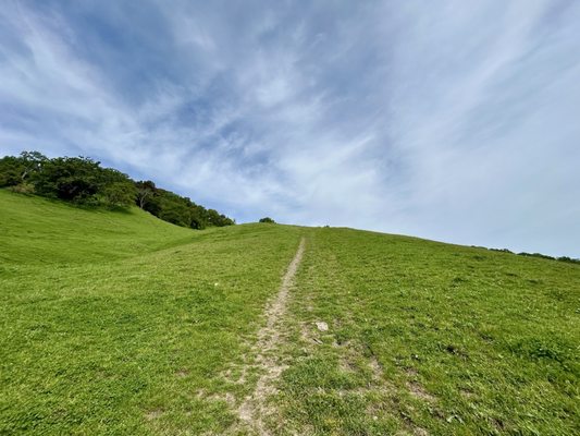 Briones Regional Park by null