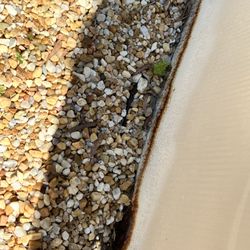 Clearwater Pools - Whole bottom of the pool is rusted
