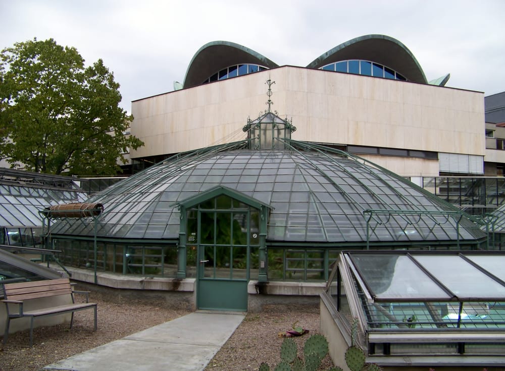 39+ Botanischer Garten Der Universität Basel Botanical Garden, The