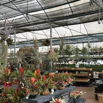Rainforest Flora - Nurseries & Gardening Near Me - Torrance, California Rainforest Flora - Nurseries & Gardening Near Me - Torrance, California