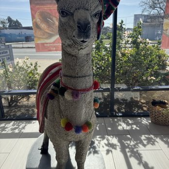 The Peruvian Spot - Peruvian Near Me - San Diego, California The Peruvian Spot - Peruvian Near Me - San Diego, California