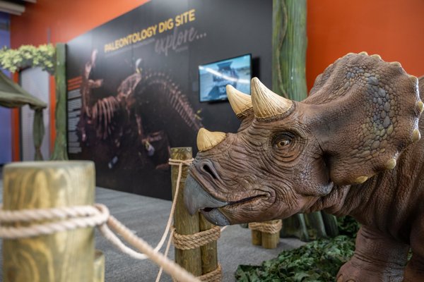 Discovery Cube Los Angeles by null