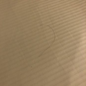 Hilton Albany - Hair on bed - Hotels Near Me - Albany, New York Hilton Albany - Hair on bed - Hotels Near Me - Albany, New York
