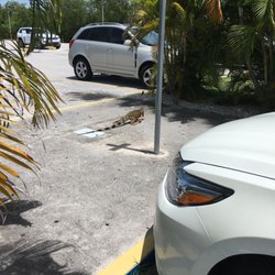Lower Keys Medical Center - Don't think they'll help his kind here !