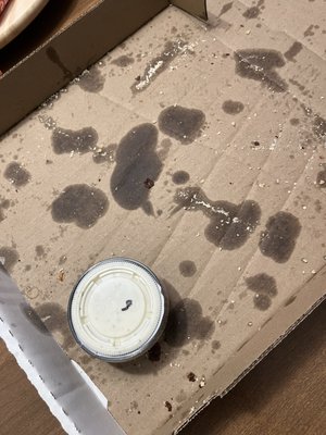 Hometown Pizza Ann Arbor by null