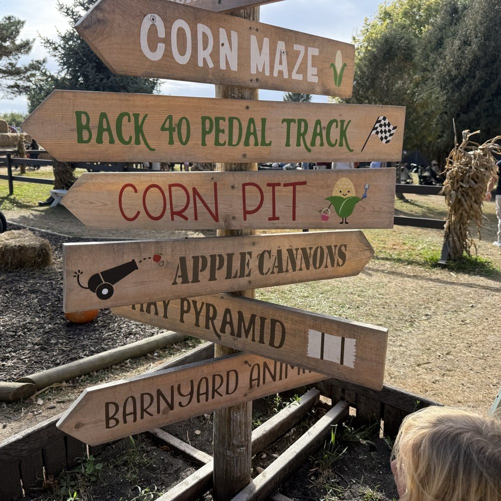 Minnesota Harvest Apple Orchard - Apple cannons thataway! - Pick Your Own Farms Near Me - Jordan, Minnesota