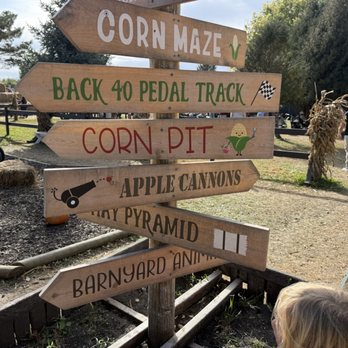 Minnesota Harvest Apple Orchard - Apple cannons thataway! - Pick Your Own Farms Near Me - Jordan, Minnesota