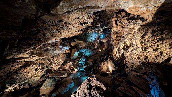 Oregon Caves National Monument & Preserve by null