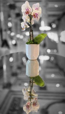 Fairmont San Francisco by null