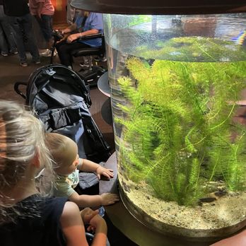 Shedd Aquarium - Aquariums Near Me - Chicago, Illinois