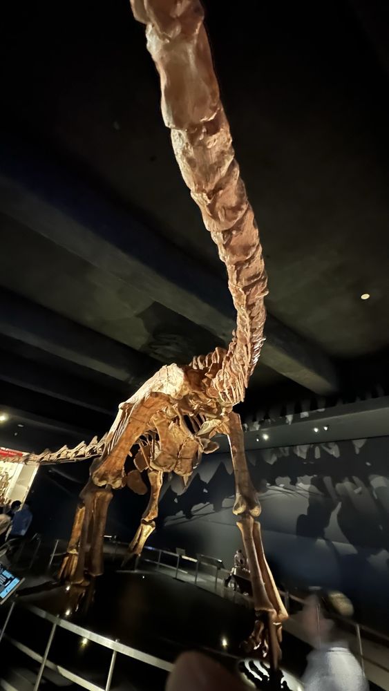 American Museum of Natural History