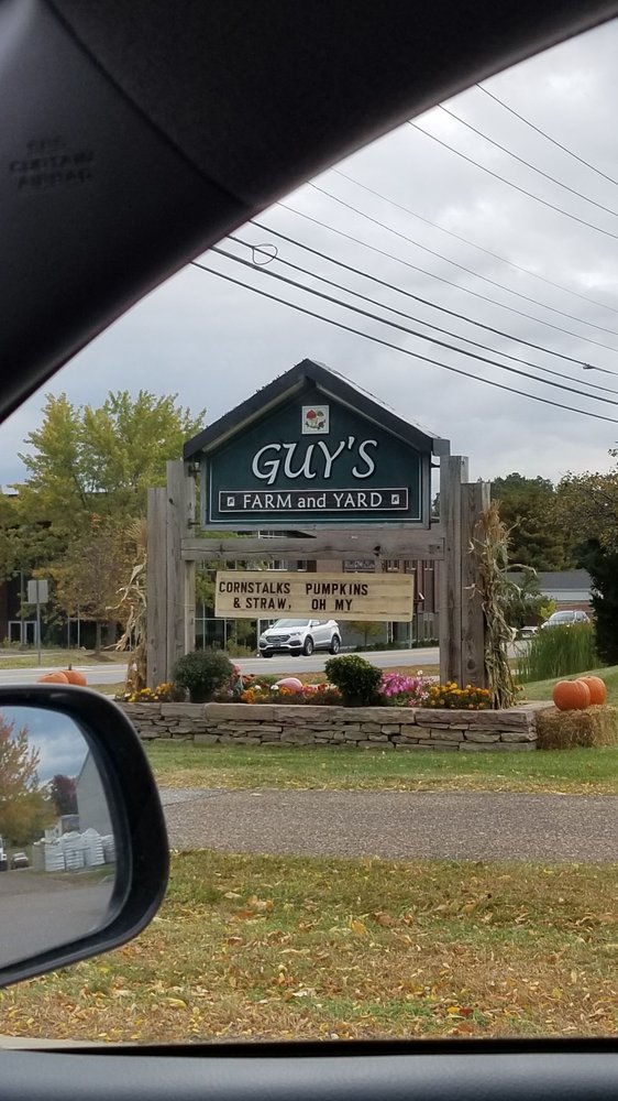 GUY’S FARM & YARD Updated September 2024 21 Zephyr Rd, Williston