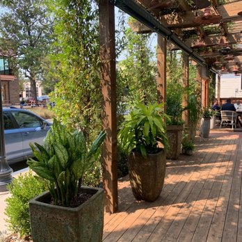 Paradiso - Patio - Bars Near Me - Dallas, Texas
