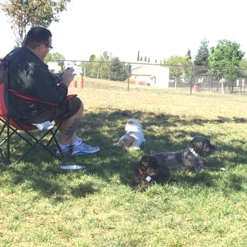 Morse Dog Park - Dog Parks Near Me - Elk Grove, California