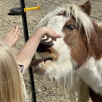 The Bee Hugger - Smells like carrot to me! - Attraction Farms Near Me - Longmont, Colorado The Bee Hugger - Smells like carrot to me! - Attraction Farms Near Me - Longmont, Colorado