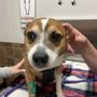 Photo of Encore Veterinary Hospital