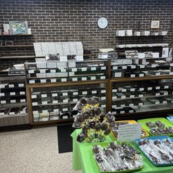 Dan's Homemade Candies - Candy case