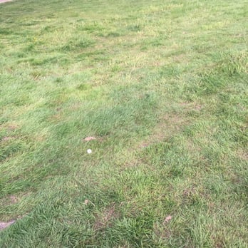 Gleneagle Golf Course - Fairway. Grass has been neglected for quite some time. - Golf Near Me - Arlington, Washington