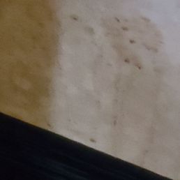 Food on wall