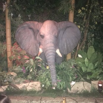 Rainforest Cafe - Lots of fun scenery - American Near Me - Grapevine, Texas Rainforest Cafe - Lots of fun scenery - American Near Me - Grapevine, Texas