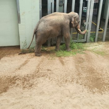 Oklahoma City Zoo - Zoos Near Me - Oklahoma City, Oklahoma Oklahoma City Zoo - Zoos Near Me - Oklahoma City, Oklahoma