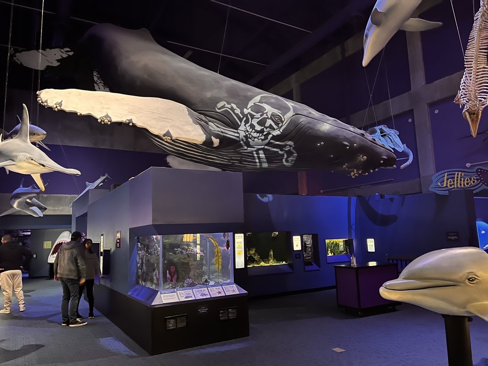 THE VIRGINIA AQUARIUM & MARINE SCIENCE CENTER - Updated September 2024