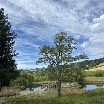 Greenwood Ridge Vineyards - exterior - Wineries Near Me - Philo, California