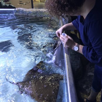Austin Aquarium - Aquariums Near Me - Austin, Texas