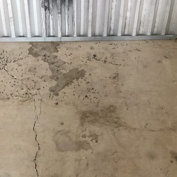Devon Self Storage - Rat droppings - Self Storage Near Me - Apple Valley, California