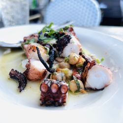 MP Taverna Irvington - Octopus