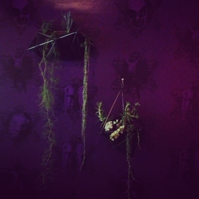 Lucha Cartel by null