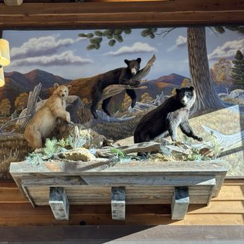 Bass Pro Shops - Wolf wizard - Guns & Ammo Near Me - Acworth, Georgia