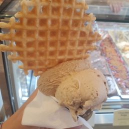Waffle Chip