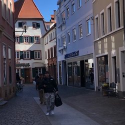 Zum Trifels