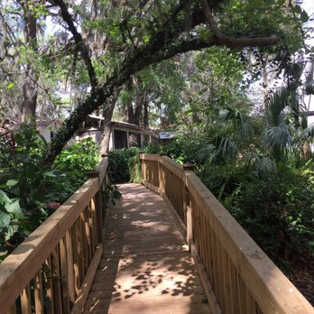 Tree Hill Jacksonville's Nature Center - Walking trails - Parks Near Me - Jacksonville, Florida
