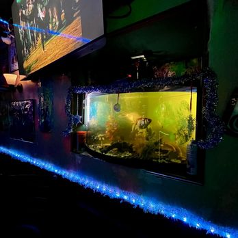Almond Tree Restaurant & Lounge - Fish tank inside the Lounge. - Lounges Near Me - Atwater, California Almond Tree Restaurant & Lounge - Fish tank inside the Lounge. - Lounges Near Me - Atwater, California