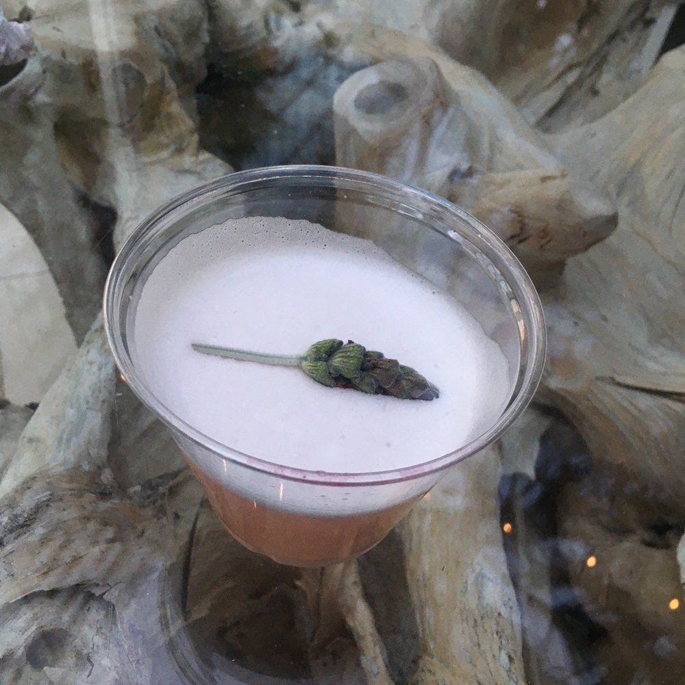 SiX Tampa - Lavender fields cocktail - Cocktail Bars Near Me - Tampa, Florida SiX Tampa - Lavender fields cocktail - Cocktail Bars Near Me - Tampa, Florida