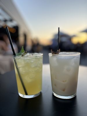 Percheron Rooftop Bar by null