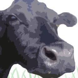 Forster Organic Meats