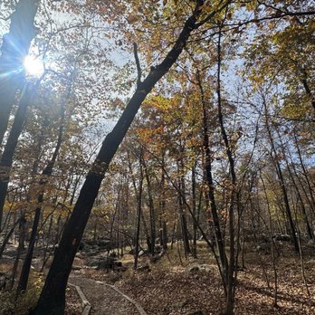 Great Falls Park - Parks Near Me - McLean, Virginia Great Falls Park - Parks Near Me - McLean, Virginia