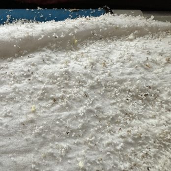 Terminix - Pest Control Near Me - Binghamton, New York