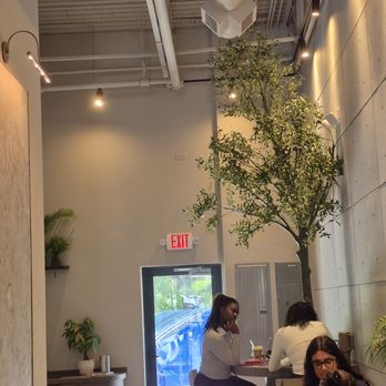 Drip Coffee - Coffee & Tea Near Me - Fort Lauderdale, Florida