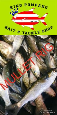 vero bait and tackle