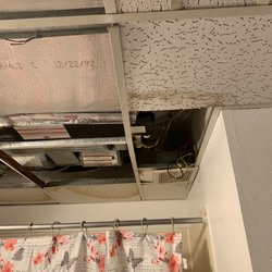 Pine Tree Assisted Living Apartments - Dilapidated